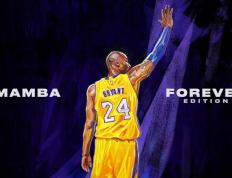 开云平台-汗水与旋转，许昕那记改写历史的不可能回球