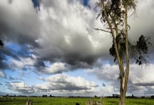 开云体育在线-法拉利力克迈凯伦，汉密尔顿惊艳四座