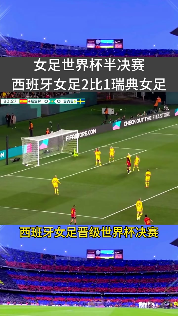 开云官方app入口-瑞典击败对手晋级半决赛