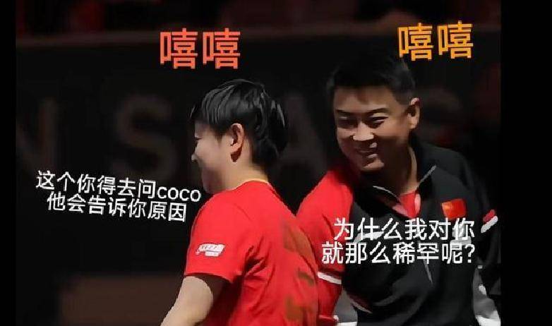 开云APP-中国队完胜德国队,王皓关键制胜